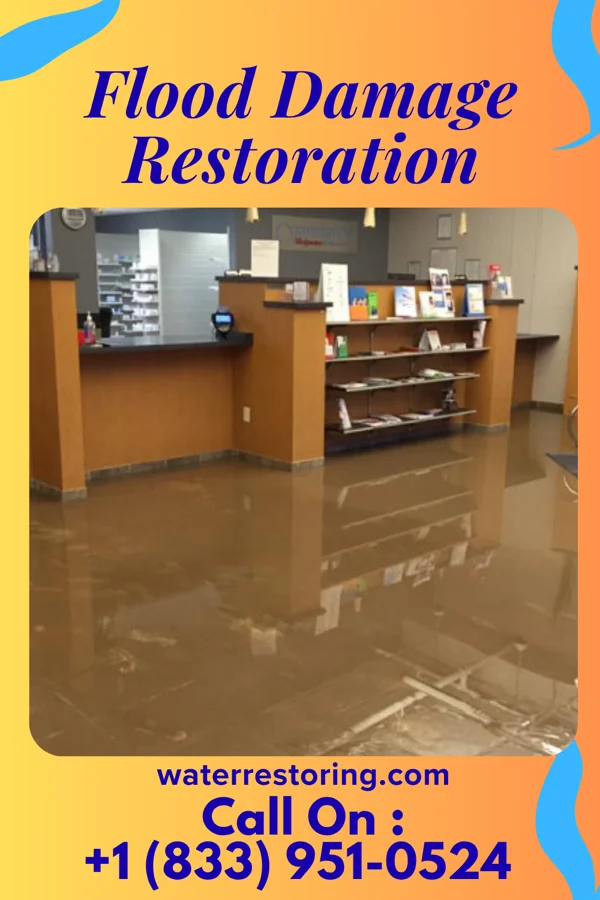 Flood Damage Restoration in Bellville, GA