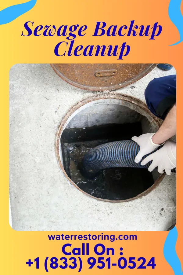 Sewage Backup Cleanup in Bellville, GA